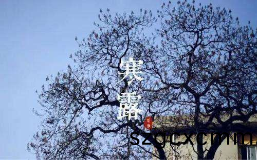 百度(xin)圖(tu)片(pian)_20201008174912.png