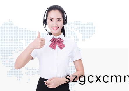 普(pu)賽特(te)服(fu)務(wù)(wu)優(yōu)勢(shì)